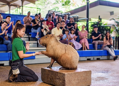 リバーワンダー